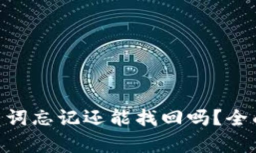 Tokenim钱包助力词忘记还能找回吗？全面解析与解决方案