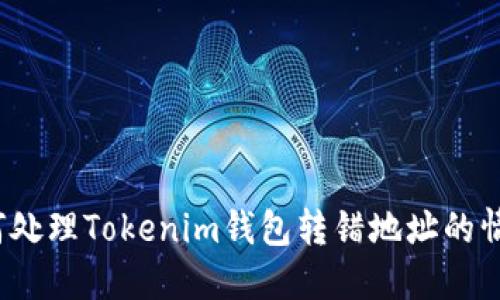 如何处理Tokenim钱包转错地址的情况？