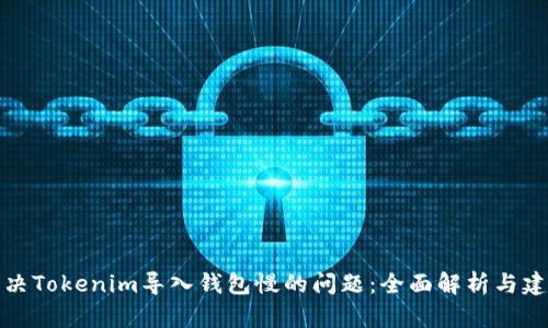解决Tokenim导入钱包慢的问题：全面解析与建议