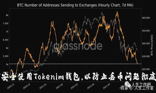 如何安全使用Tokenim钱包，以防止丢币问题彻底解决