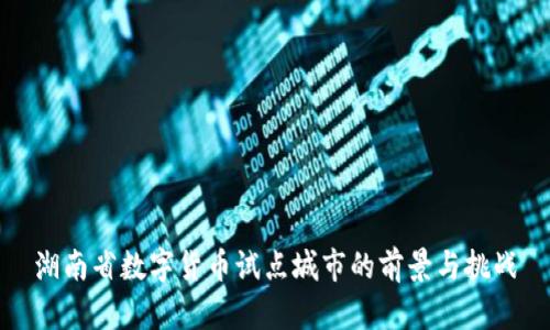 湖南省数字货币试点城市的前景与挑战