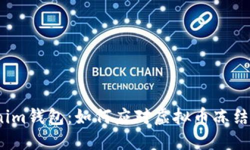 Tokenim钱包：如何应对虚拟币冻结问题？