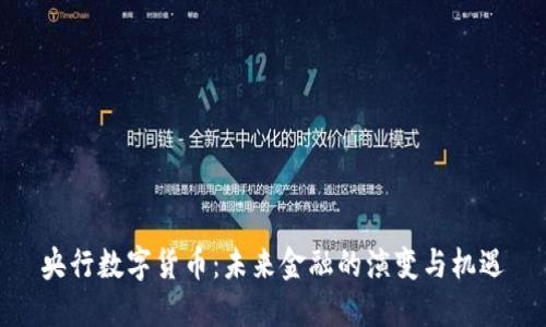 央行数字货币：未来金融的演变与机遇