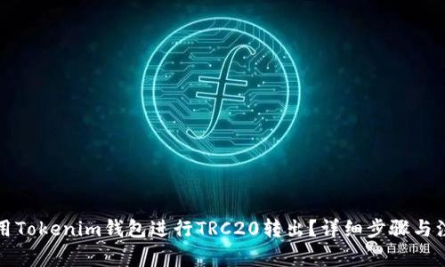 如何使用Tokenim钱包进行TRC20转出？详细步骤与注意事项
