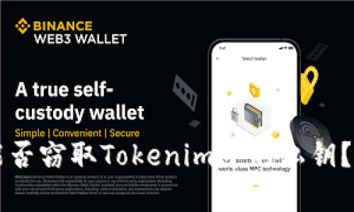 恶意程序能否窃取Tokenim中的私钥？解析与防范