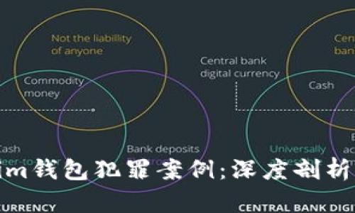 探寻Tokenim钱包犯罪案例：深度剖析与防范策略