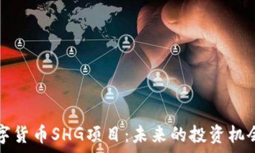   
深入了解数字货币SHG项目：未来的投资机会与风险解析