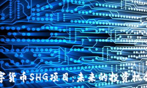   
深入了解数字货币SHG项目：未来的投资机会与风险解析