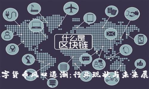 数字货币风口退潮：行业现状与未来展望