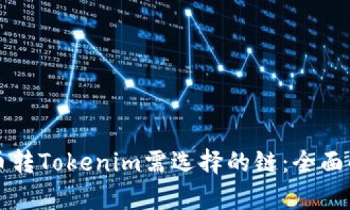 火币转Tokenim需选择的链：全面解析
