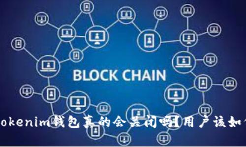 Tokentokenim钱包真的会关闭吗？用户该如何应对？