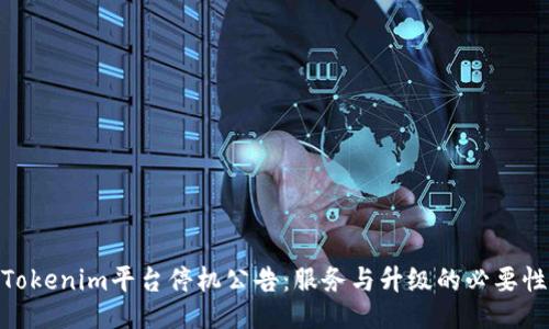 Tokenim平台停机公告：服务与升级的必要性