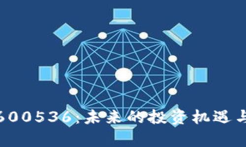 数字货币600536：未来的投资机遇与风险分析