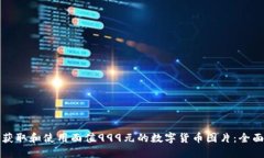 如何获取和使用面值999元