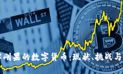 深入了解刚果的数字货币：现状、挑战与未来展望