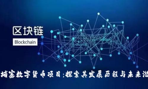 柬埔寨数字货币项目：探索其发展历程与未来潜力