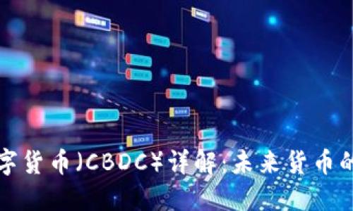 央行数字货币（CBDC）详解：未来货币的新方向