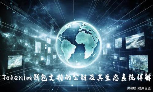 Tokenim钱包支持的公链及其生态系统详解