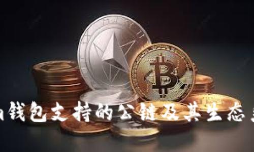 Tokenim钱包支持的公链及其生态系统详解