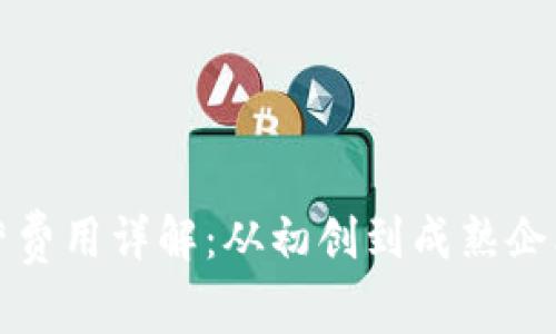 数字货币运营费用详解：从初创到成熟企业的成本分析