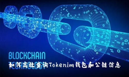 如何高效查询Tokenim钱包和公链信息