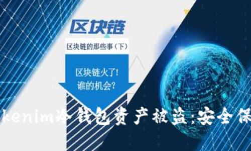 如何防止Tokenim冷钱包资产被盗：安全保护全面指南