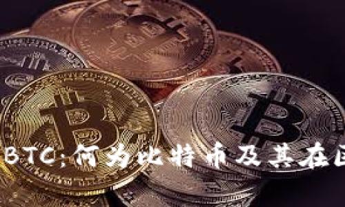 深入解析Tokenim BTC：何为比特币及其在区块链生态中的应用