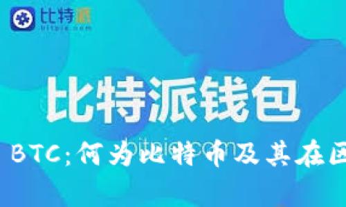深入解析Tokenim BTC：何为比特币及其在区块链生态中的应用