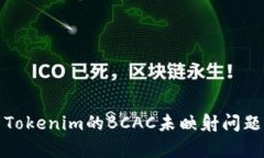 深入解析Tokenim的BCAC未映射