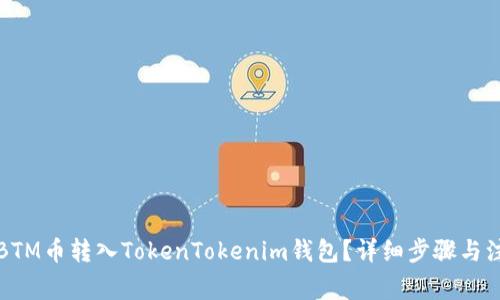 如何将BTM币转入TokenTokenim钱包？详细步骤与注意事项