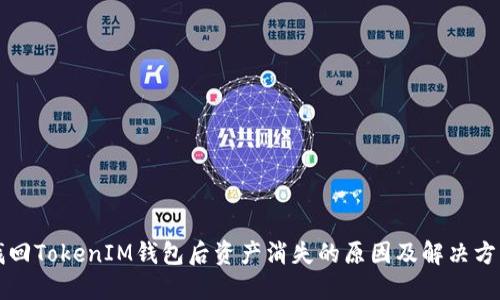 找回TokenIM钱包后资产消失的原因及解决方法