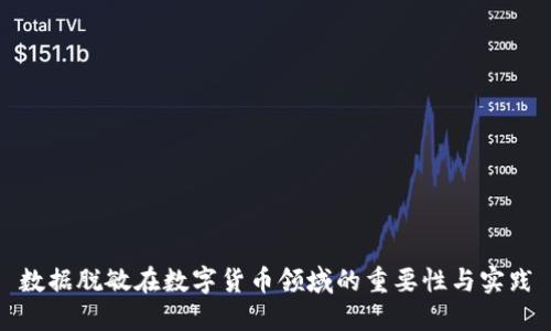 数据脱敏在数字货币领域的重要性与实践
