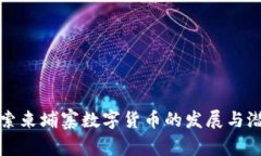 探索柬埔寨数字货币的发