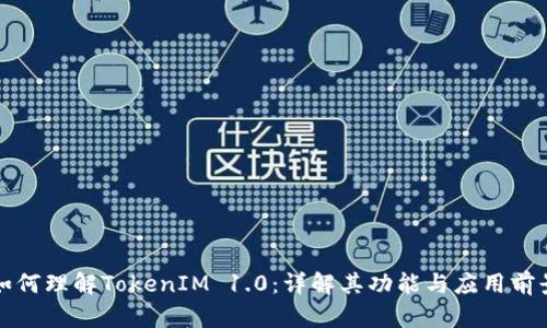 如何理解TokenIM 1.0：详解其功能与应用前景