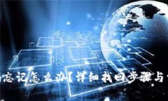 Tokenim密码忘记怎么办？详细找回步骤与常见问题