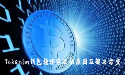 Tokenim钱包转账延迟的原因及解决方案