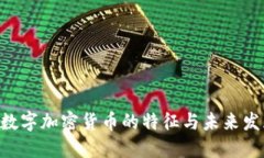 riaoti数字加密货币的特征
