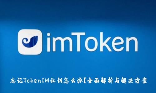忘记TokenIM私钥怎么办？全面解析与解决方案
