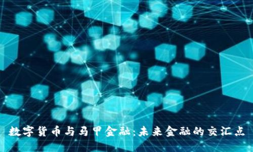数字货币与马甲金融：未来金融的交汇点