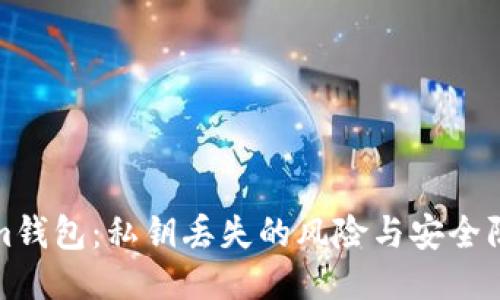 Tokenim钱包：私钥丢失的风险与安全防护指南