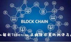 深入解析Tokenim：区块链项