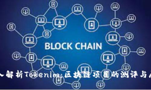 深入解析Tokenim：区块链项目的测评与展望