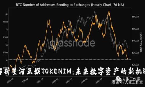 : 全面解析星河互娱TOKENIM：未来数字资产的新机遇与挑战