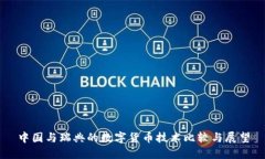 中国与瑞典的数字货币技术比较与展望