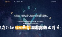 如何找回在Tokenim平台上丢失的比特币：全面指南