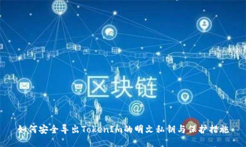 如何安全导出TokenIm的明文私钥与保护措施