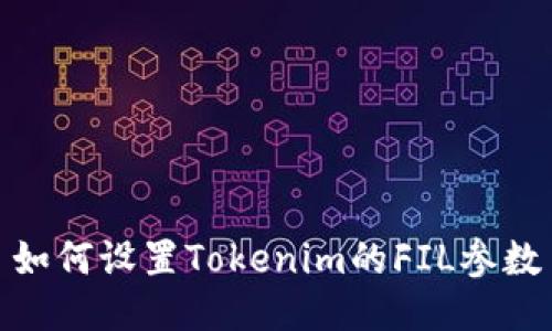 如何设置Tokenim的FIL参数