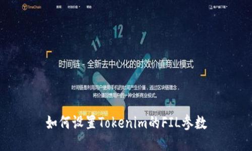 如何设置Tokenim的FIL参数