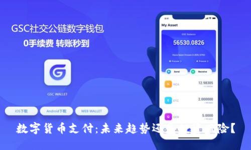 数字货币支付：未来趋势还是投资风险？