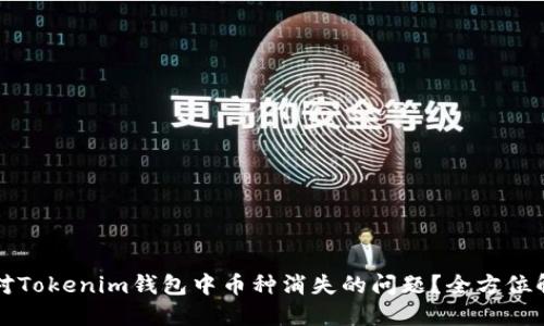 如何应对Tokenim钱包中币种消失的问题？全方位解决指南